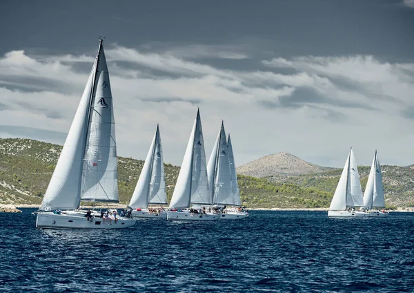 Kroatien, Adria, 18. September 2019: Segelboote messen sich bei einer Segelregatta, Segelbootrennen, Reflexion der Segel auf dem Wasser, Anzahl der Boote auf Achterbooten, Insel im Hintergrund, klares Wetter — Stockfoto