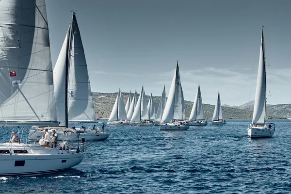 Croatia, Adriatic Sea, 18 September 2019: Sailboats compete in a sail regatta, sailboat race, reflection of sails on water, number of boat is on aft boats, island is on background, clear weather — Stock Photo, Image