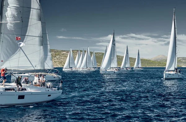 Croatia, Adriatic Sea, 18 September 2019: Sailboats compete in a sail regatta, sailboat race, reflection of sails on water, number of boat is on aft boats, island is on background, clear weather — Stock Photo, Image