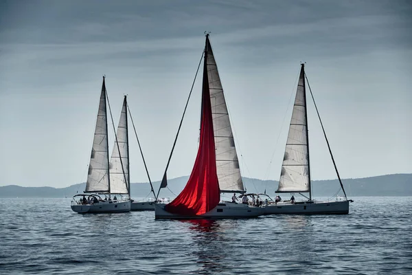 돛단배들의 경주, 레가타, 물위에서 돛을 반사하는 일, 강렬 한 경쟁, 유보트 위에는 많은 배들이 있고 밝은 색깔, 풍차가 있는 섬들 이 배경을 이루고 있다 — 스톡 사진