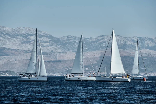 A corrida de veleiros, uma regata, reflexo de velas na água, Competição intensa, número de barco está em barcos de popa, cores brilhantes, ilha com moinhos de vento estão no fundo — Fotografia de Stock