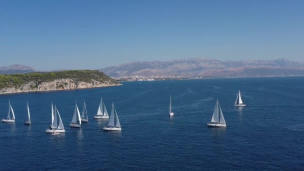 Повітряний постріл яхтової гонки, вітрильна регата, інтенсивна конкуренція, велика кількість білих вітрил, острів на задньому плані, вершина подорожі, відпустка в Хорватії, ідилічний ландшафт. — стокове відео