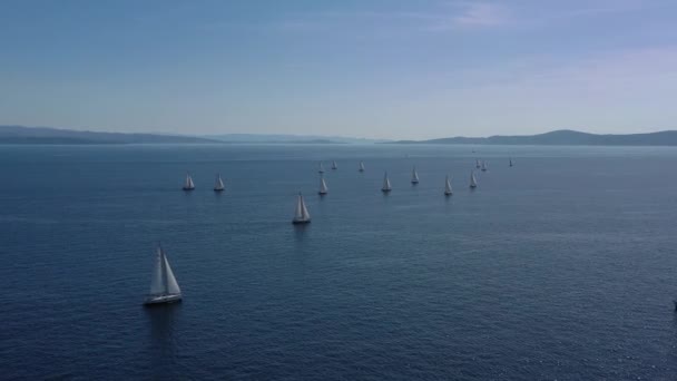 Letecký snímek jachty závod, plachtění regata, intenzivní konkurence, spousta bílých plachet, ostrov je na pozadí, top cestovní destinace, dovolená v Chorvatsku, idylická krajina — Stock video