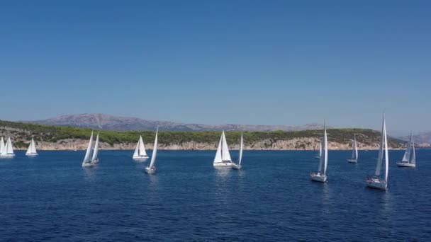 Letecký snímek jachty závod, plachtění regata, intenzivní konkurence, spousta bílých plachet, ostrov je na pozadí, top cestovní destinace, dovolená v Chorvatsku, idylická krajina — Stock video