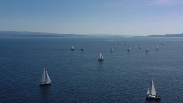 Аэросъемка яхтенной гонки, парусная регата, интенсивная конкуренция, много белых парусов, остров на заднем плане, топовое туристическое направление, отдых в Хорватии, идиллический пейзаж — стоковое видео