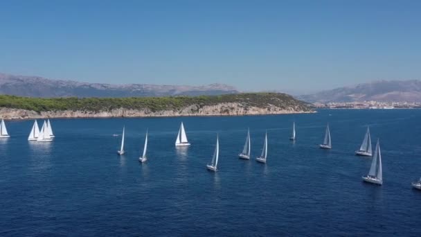 ヨットレース、セーリングレガッタ、激しい競争、白い帆の多くの空中ショット、島は背景にあり、トップ旅行先、クロアチアの休暇、牧歌的な風景 — ストック動画