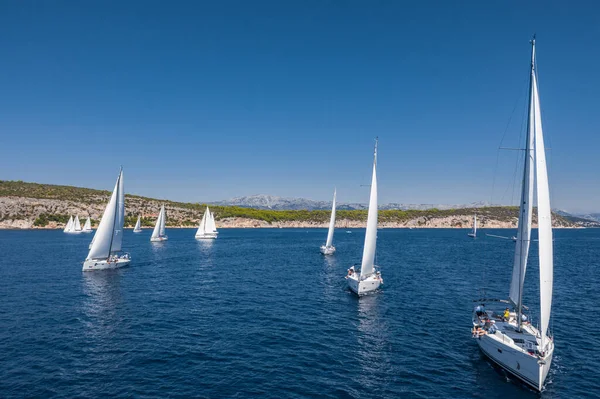 Luftaufnahme der Regatta, eine Segelregatta, intensive Konkurrenz, viele weiße Segel, Insel im Hintergrund, Top-Reiseziel, Urlaub in Kroatien, idyllische Landschaft — Stockfoto