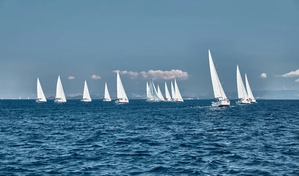 ヨットのレース、帆レガッタ、水に帆の反射、激しい競争、ボートの数は、船に乗っている明るい色、島の背景にあります — ストック写真