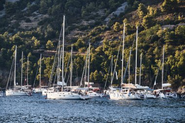 Hırvatistan 'da gün batımında marinada çok sayıda yelkenli var mı? Arka planda yeşil ağaçlı ada Vis kentine yakın.