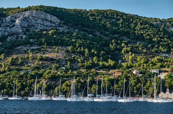 É um monte de veleiros na marina na Croácia ao pôr do sol, Ilha com árvores verdes estão no fundo, é perto da cidade Vis — Fotografia de Stock