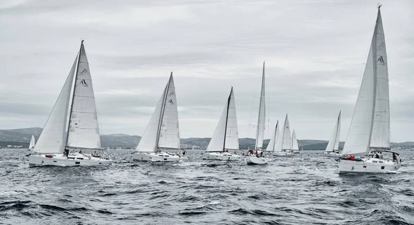 Croácia, Mar Adriático, 19 de setembro de 2019: A corrida de veleiros, uma regata, tempo chuvoso, competição intensa, ilha em segundo plano — Fotografia de Stock