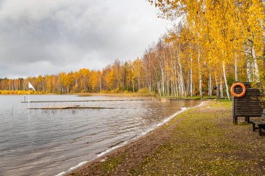 Göldeki Uzun İskele, Boroye Gölü 'ndeki Sonbahar, Valday Ulusal Parkı, Rusya, yavaş çekim videosu, arka planda altın ağaçlar, ahşap pansiyonlar, bulutlu hava