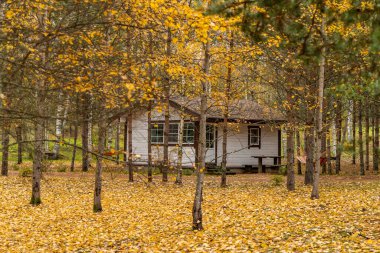 Ormanda kır evi, sonbaharda güzel ormanlarda vahşi alan, Valday ulusal parkı, yerde sarı yapraklar, Rusya, altın ağaçlar, bulutlu hava