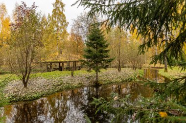 Orman kulübesi, ahşap çardak, sonbaharda güzel ormandaki vahşi alan, suda yansıma, Valday milli parkı, yerde sarı yapraklar, Rusya, altın ağaçlar, bulutlu hava