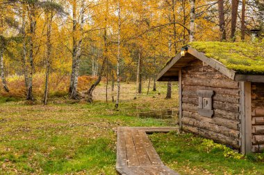 Ormanda kır evi, sonbaharda güzel ormanlarda vahşi alan, Valday ulusal parkı, yerde sarı yapraklar, Rusya, altın ağaçlar, bulutlu hava