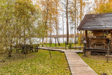 Ormanda kır evi, sonbaharda güzel ormanlarda vahşi alan, Valday ulusal parkı, yerde sarı yapraklar, Rusya, altın ağaçlar, bulutlu hava