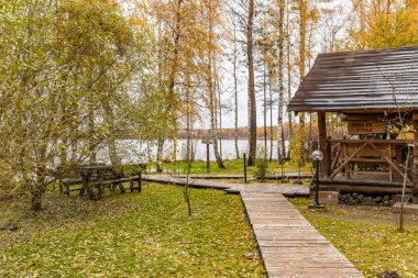 Forest lodge in backwoods, wild area in beautiful forest in Autumn, Valday national park, yellow leafs at the ground, Russia, golden trees, cloudy weather clipart