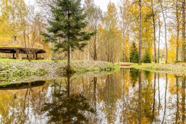 Orman kulübesi, ahşap çardak, sonbaharda güzel ormandaki vahşi alan, suda yansıma, Valday milli parkı, yerde sarı yapraklar, Rusya, altın ağaçlar, bulutlu hava
