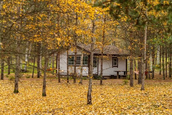 Лесной домик в глуши, дикая местность в красивом лесу осенью, национальный парк Вальдай, желтые листья на земле, Россия, золотые деревья, облачная погода — стоковое фото