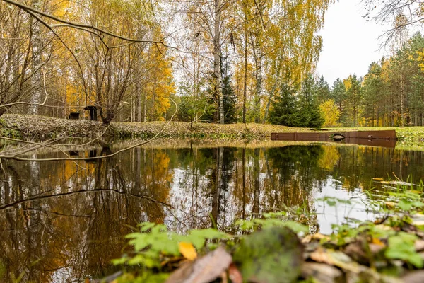 Pavillon forestier dans l'arrière-pays, Tonnelle en bois, Zone sauvage dans une belle forêt en automne, Réflexion spéculaire dans l'eau, Parc national du Valday, Feuilles jaunes au sol, Russie, Arbres dorés, temps nuageux — Photo