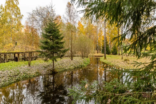 Leśny domek w lesie, Drewniany altanka, Dziki obszar w pięknym lesie jesienią, Spekularne odbicie w wodzie, Valday park narodowy, żółte liście na ziemi, Rosja, złote drzewa, zachmurzona pogoda — Zdjęcie stockowe