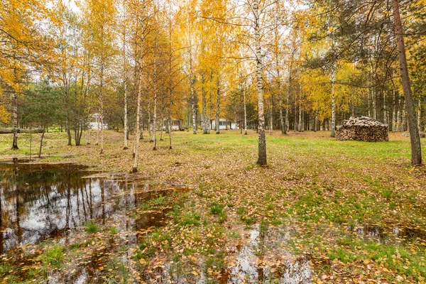 Pavillon forestier dans l'arrière-pays, zone sauvage dans une belle forêt en automne, Parc national du Valday, Feuilles jaunes au sol, Russie, arbres dorés, temps nuageux — Photo