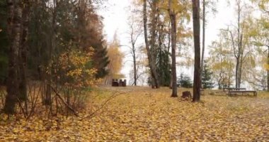 Sonbaharda Boroye Gölü kıyı şeridi manzarası, gölde Piers, Valday Ulusal Parkı, Rusya, panoramik görüntü, altın ağaçlar, ahşap kulübeler, bulutlu hava,