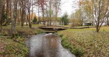 Ormanda kır evi, sonbaharda güzel ormanlarda vahşi alan, Valday ulusal parkı, yerde sarı yapraklar, Rusya, altın ağaçlar, bulutlu hava