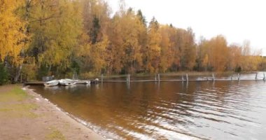 Göldeki uzun iskele, kıyıya yakın tekneler, Boroye Gölü 'ndeki sonbahar, Valday Ulusal Parkı, Rusya, yavaş çekim videosu, arka planda altın ağaçlar, ahşap pansiyonlar, bulutlu hava