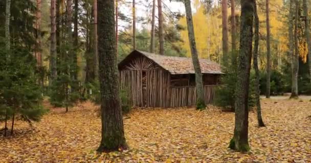 Baita forestale nel bosco, area selvaggia nella bellissima foresta in autunno, parco nazionale Valday, foglie gialle a terra, Russia, alberi dorati, tempo nuvoloso — Video Stock