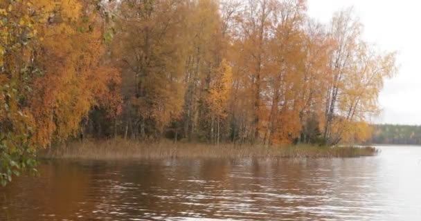 Vidéo ralenti de la zone côtière du lac Boroye en automne, Russie, Parc national du Valday, Russie, coloré, Feuillage multicolore, arbres dorés, temps nuageux 