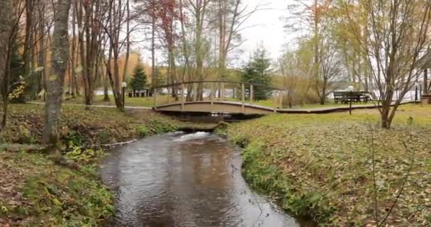 Pavillon forestier dans l'arrière-pays, zone sauvage dans une belle forêt en automne, Parc national du Valday, Feuilles jaunes au sol, Russie, arbres dorés, temps nuageux 