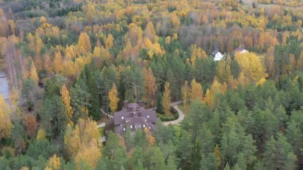 Drone kilátás pont a vidéki terület ősszel tó Boroye, A nagy faház az erdőben, Piers a tavon, Valday nemzeti park, Oroszország, panoráma kép, aranyfák, Faházak, felhős időjárás — Stock videók