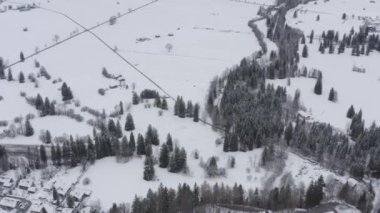 Karla kaplı bir tarla ve ağaçların arasından havadan görüş, bulutlu bir hava.