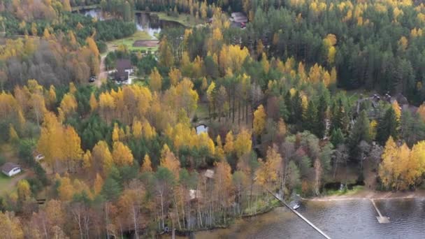 Drone view point of rural area in Autumn with lake Boroye, The big wood house in forest, Piers on the lake, Valday national park, Ryssland, gyllene träd, trästugor, dammar, molnigt väder — Stockvideo