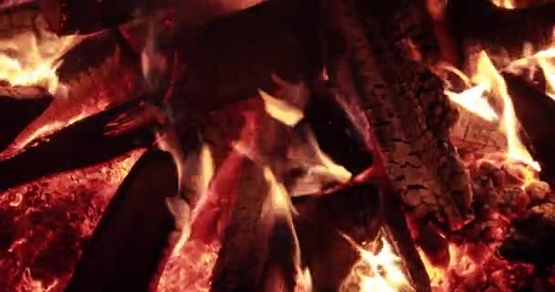 Focul mare cu lemne de foc pe timp de noapte, focul de tabără arzând noaptea, scântei, flăcări ale focului, este o mulțime de cărbuni roșii din lemn, șemineu, videoclip lent fără sunet, abur și fum — Videoclip de stoc