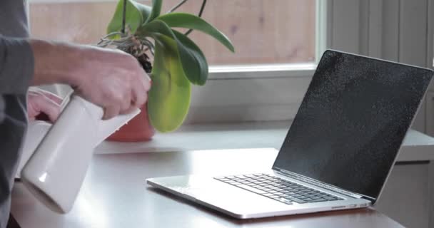 Mans mãos limpo laptop spray anti-séptico, panela com uma flor em uma soleira da janela em um fundo, toalha de papel, desinfecção da pele das mãos durante a pandemia de coronavírus, epidemia de COVID-19, a propagação do vírus — Vídeo de Stock