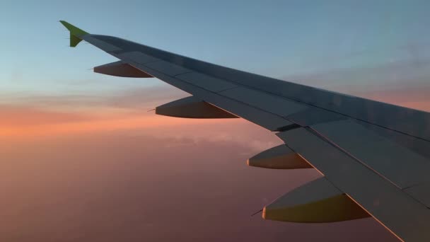 Un avión grande en un día nublado, ala de avión al atardecer o al amanecer, cielo azul — Vídeo de stock