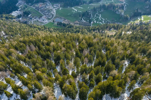 Veduta aerea dell'immensa valle delle montagne d'Italia, Trentino, prati verdi, Piste con verdi abeti rossi, Dolomiti sullo sfondo, La città in fondo ad una valle — Foto Stock