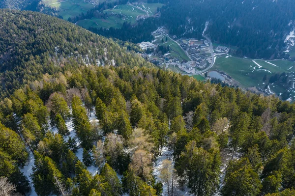 Veduta aerea dell'immensa valle delle montagne d'Italia, Trentino, prati verdi, Piste con verdi abeti rossi, Dolomiti sullo sfondo, La città in fondo ad una valle — Foto Stock