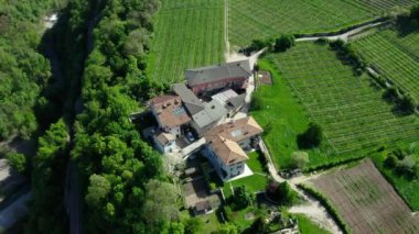Şarap üretim çiftliğinin çevresindeki hava manzaralı yeşil üzüm bağları, İtalyan Alpleri, Trentino çayırları, dağların yeşil yamaçları, evlerin çatıları, güneşli hava.