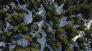 İnsansız hava aracı çayırların üzerinden güneşli havaya doğru uçuyor, İHA uçuyor, İtalya 'nın dağları, Trentino, kar...