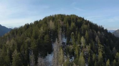 İnsansız hava aracı ladin üzerinde güneşli bir havaya, İtalya 'nın dağlarına, Trentino' ya, İtalyan Alplerine ve Dolomitlere kadar yükselir.