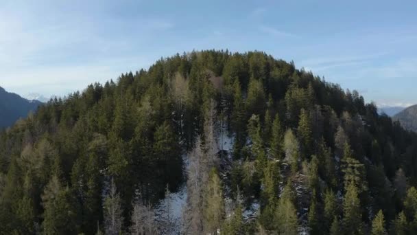 Drone flyger uppförsbacke över gran till ett soligt väder, bergen i Italien, Trentino, italienska Alperna och Dolomiterna på bakgrunden — Stockvideo