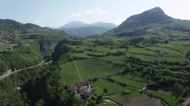 Şarap üretim çiftliğinin çevresindeki hava manzaralı yeşil üzüm bağları, İtalyan Alpleri, Trentino çayırları, dağların yeşil yamaçları, evlerin çatıları, güneşli hava.