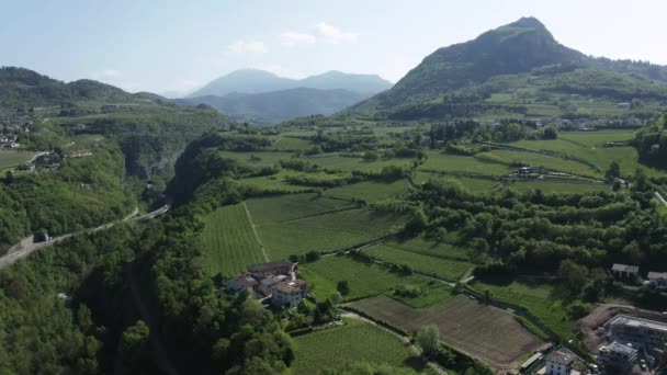 Luchtfoto van onwaarschijnlijke groene wijngaarden rond de wijnboerderij, weilanden van de Italiaanse Alpen, Trentino, groene hellingen van de bergen, daken van huizen, zonnig weer, drone is geïmmobiliseerd — Stockvideo