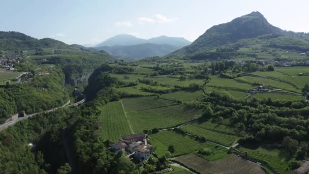 Letecký pohled na nepravděpodobné zelené vinice kolem vinařské farmy, louky italských Alp, Trentino, zelené svahy hor, střechy domů, slunečné počasí — Stock video