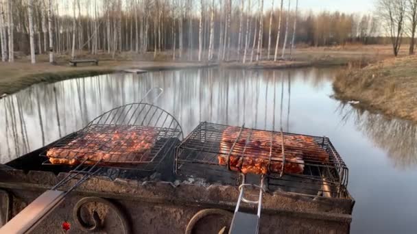 Vlees wordt gebakken op een metalen rooster, een roestige brander voor een barbecue, een uitzicht op het meer, bomen aan de andere kust, rustig water, een rook en stoom van kolen, zonsondergang — Stockvideo