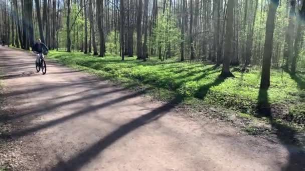 Panorama av de första dagarna av våren i en skog, Den unge mannen passerar snabbt på cykel, långa skuggor av träd, blå himmel, knoppar av träd, stammar av björkar, solig dag, stig i skogen — Stockvideo