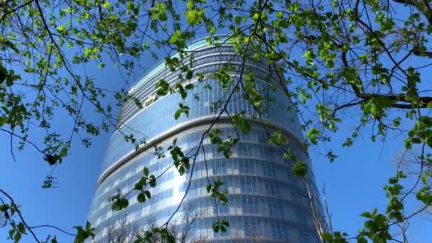 Russie, Saint-Pétersbourg, 07 mai 2020 : Le Centre national de recherche médicale VA Almazov, vue à travers les branches d'arbres aux feuilles vertes, ciel bleu sur le fond, reflets du soleil sur le verre de façade — Video